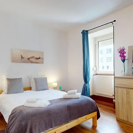 Appartement Les Cigognes D'Alsace à Colmar Extérieur photo